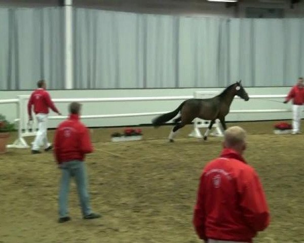 Hauptkörung NRW 2012 für Kleinpferdehengste
01.12.2012 - 02.12.2012 
Auktionsponys Handorf Pony-Spezial
