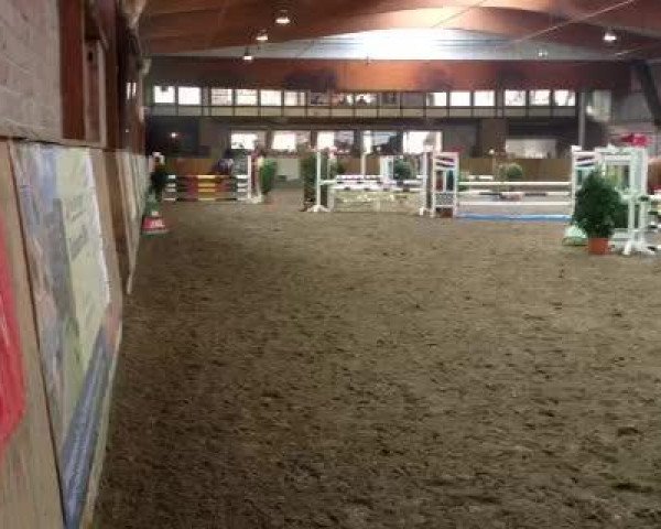 Video of Amelie Go