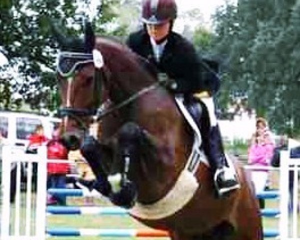 broodmare La Luna (German Sport Horse, 2003, from Leardo)