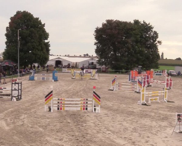 Springreitturnier Hohburg 2021