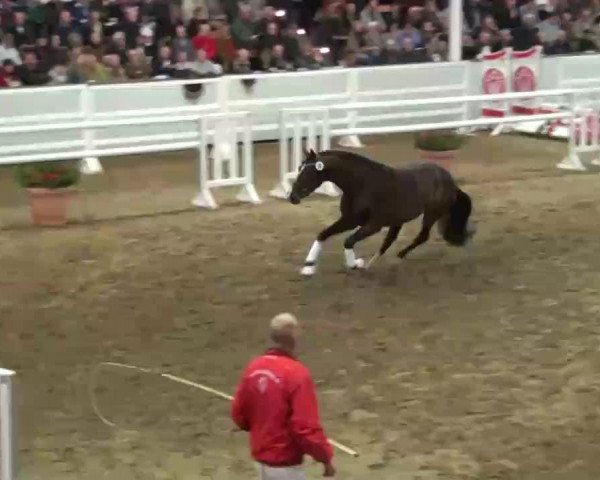 Video of Diamond Magic