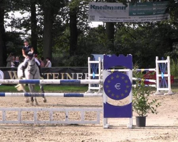 Video von amantus-3