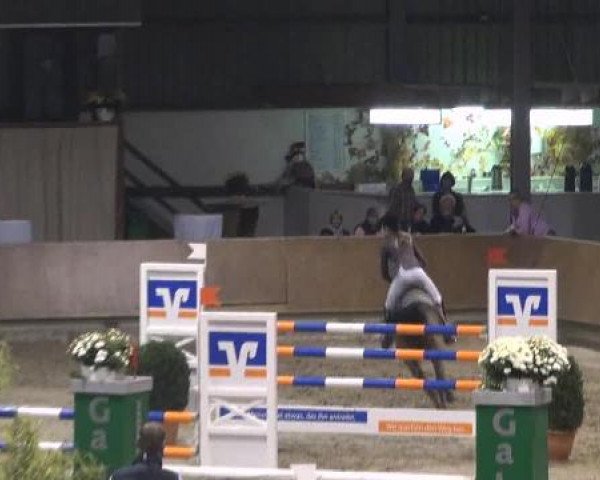 Video of dominant-117