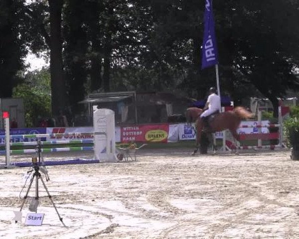 Video of carljurgen
