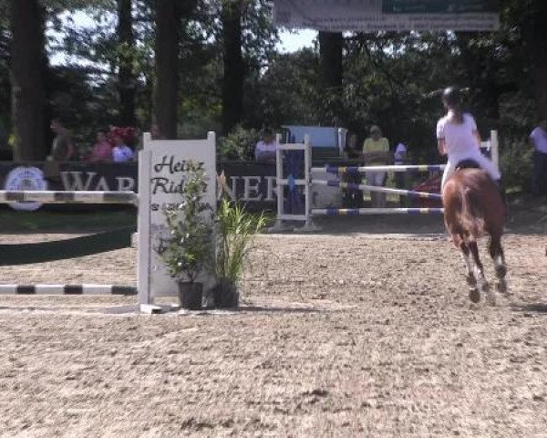 Video of odin