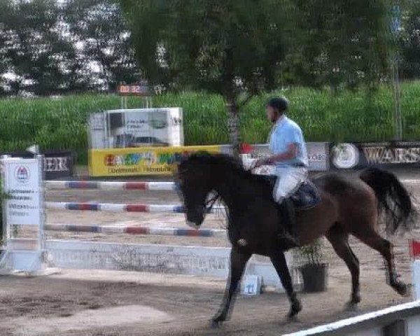 Video of look-alike-2