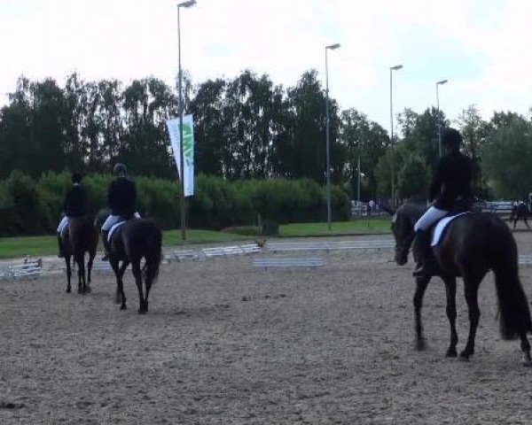 Video of dolce-vita-119