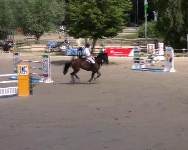 Video of quintera-19