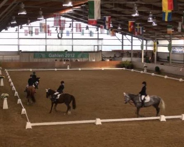 Ponymeeting Gahlen 2012
Sonntag, den 21.10.2012
02. Dressur Pony-Reiter WB
