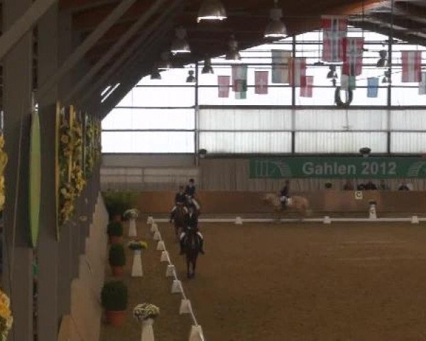 Ponymeeting Gahlen 2012
Sonntag, den 21.10.2012
02. Dressur Pony-Reiter WB

