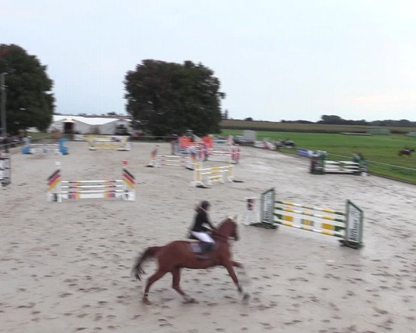 Springreitturnier Hohburg 2021