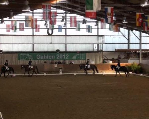 Ponymeeting Gahlen 2012
Sonntag, den 21.10.2012
02. Dressur Pony-Reiter WB
