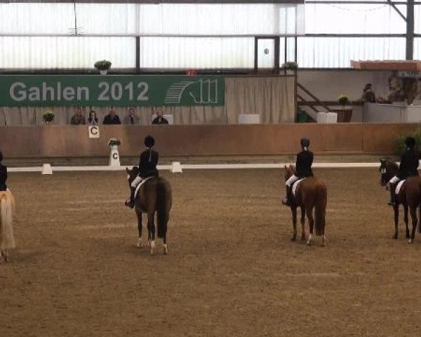Ponymeeting Gahlen 2012
Sonntag, den 21.10.2012
02. Dressur Pony-Reiter WB
