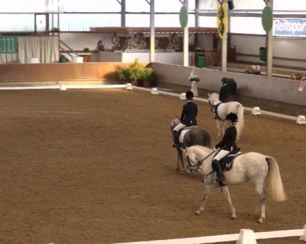Ponymeeting Gahlen 2012
Sonntag, den 21.10.2012
02. Dressur Pony-Reiter WB