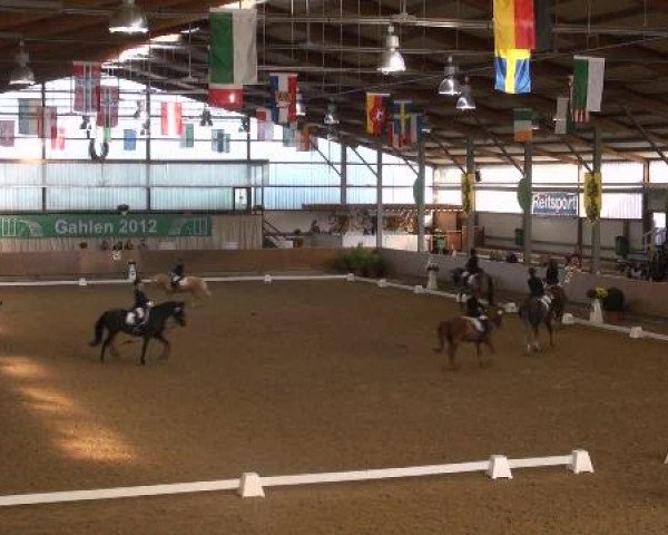 Ponymeeting Gahlen 2012
Sonntag, den 21.10.2012
01. Pony-Reiter Wettbewerb
