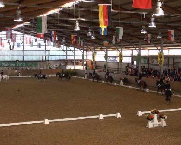 Ponymeeting Gahlen 2012
Sonntag, den 21.10.2012
01. Pony-Reiter Wettbewerb

