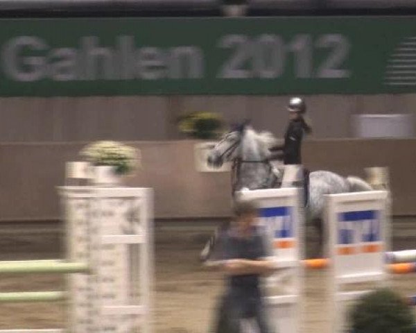 Ponymeeting Gahlen 2012
Samstag, den 20.10.2012
16. Pony-Zwei-Phasen- Springprüfung Kl.L
