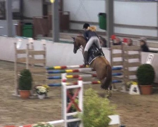 Ponymeeting Gahlen 2012
Samstag, den 20.10.2012
12. Ponystilspringprfg.Kl.A*
