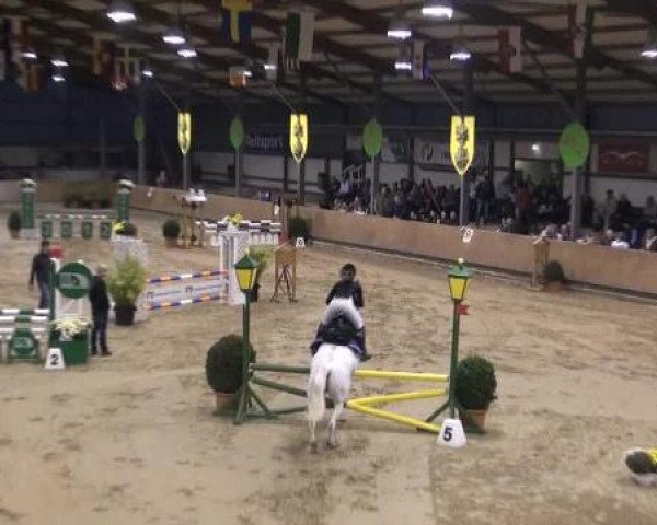 Ponymeeting Gahlen 2012
Freitag, den 19.10.2012
08. Pony M'sch.Springwettbewerb Kl.E/A* mit
