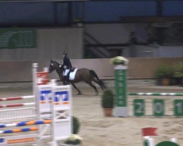 Ponymeeting Gahlen 2012
Freitag, den 19.10.2012
08. Pony M'sch.Springwettbewerb Kl.E/A* mit
