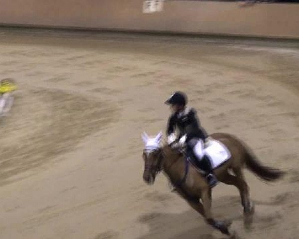 Ponymeeting Gahlen 2012
Freitag, den 19.10.2012
08. Pony M'sch.Springwettbewerb Kl.E/A* mit
