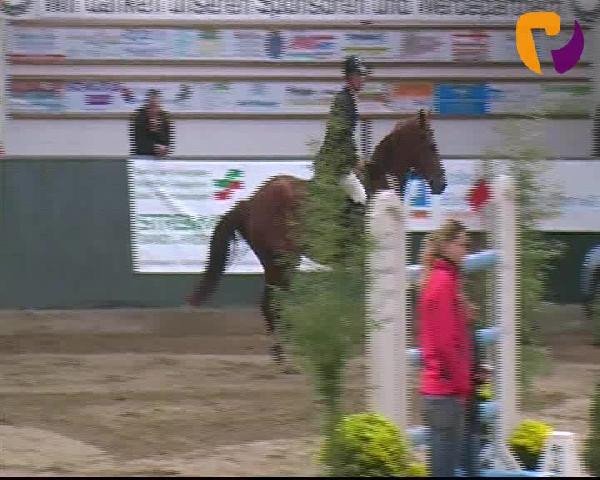 Salzkotten 2012
Sonntag, den 14.10.2012
12. Punkte-Springprüfung Kl. S* mit Joker
