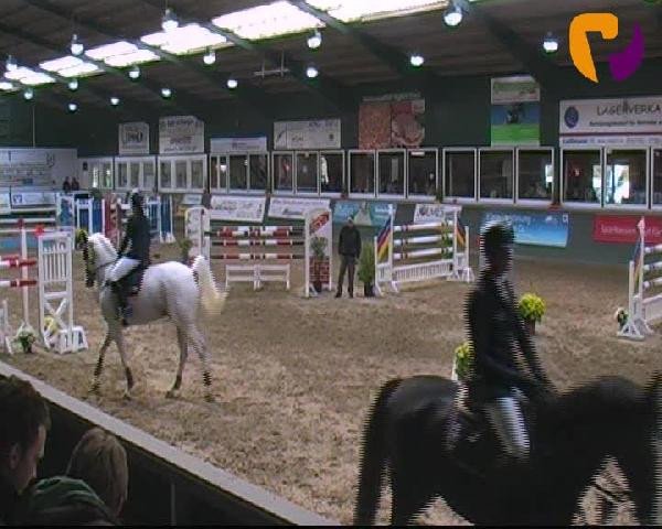 Salzkotten 2012
Samstag, den 13.10.2012
07. Springprüfung Kl. S* 2. Quali f. Nr. 8