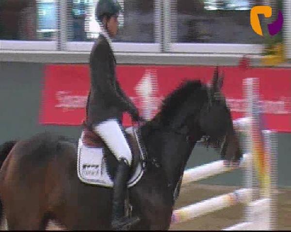 Salzkotten 2012
Samstag, den 13.10.2012
07. Springprüfung Kl. S* 2. Quali f. Nr. 8
