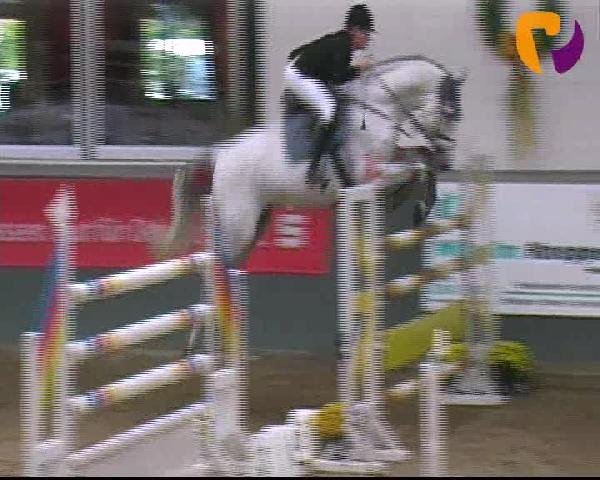 Salzkotten 2012
Samstag, den 13.10.2012
07. Springprüfung Kl. S* 2. Quali f. Nr. 8
