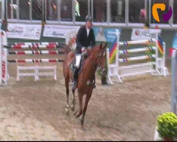 Salzkotten 2012
Samstag, den 13.10.2012
07. Springprüfung Kl. S* 2. Quali f. Nr. 8
