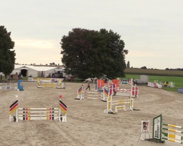Springreitturnier Hohburg 2021