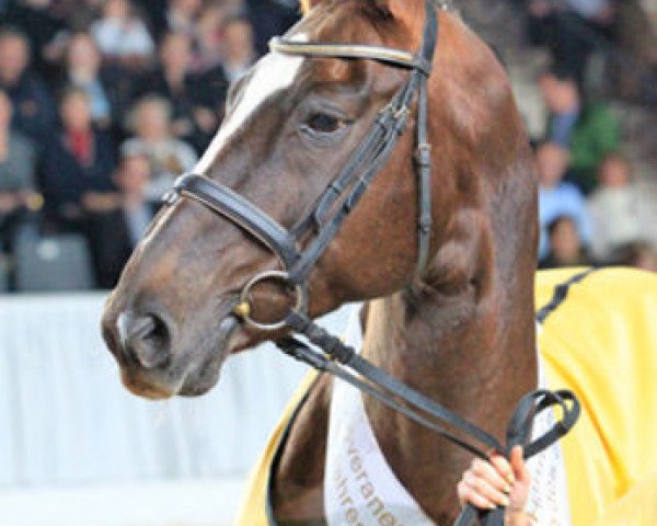 broodmare Wanda (Hanoverian, 1992, from Wanderbursch II)