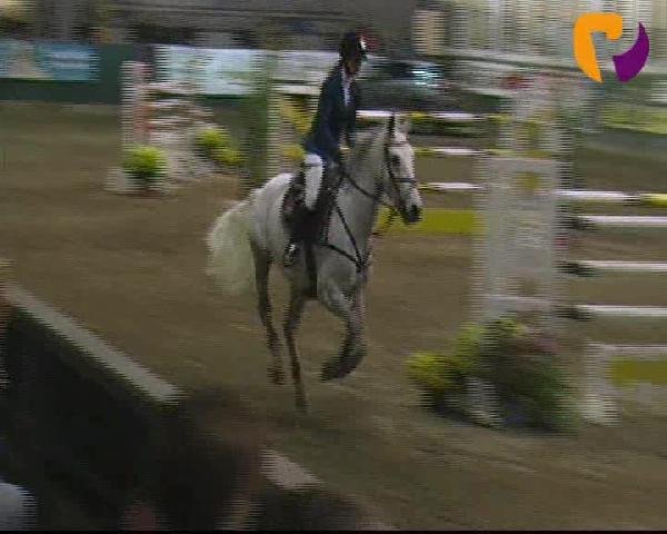 Salzkotten 2012
Samstag, den 13.10.2012
10. Springprüfung Kl. S m. St.** 2. Quali f. Nr. 11
