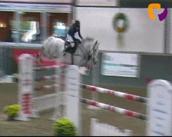 Salzkotten 2012
Samstag, den 13.10.2012
10. Springprüfung Kl. S m. St.** 2. Quali f. Nr. 11
