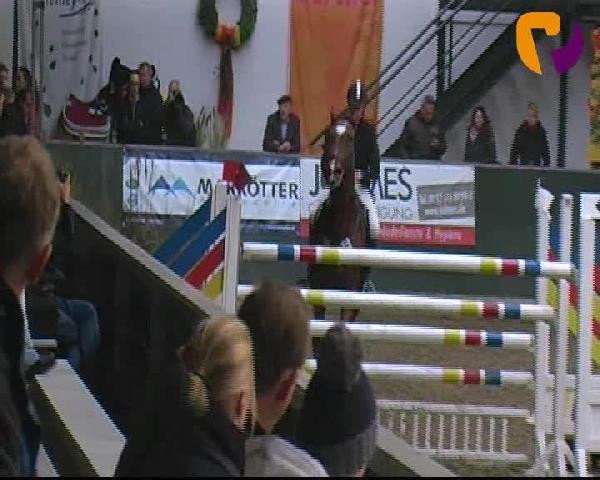 Salzkotten 2012
Samstag, den 13.10.2012
10. Springprüfung Kl. S m. St.** 2. Quali f. Nr. 11

