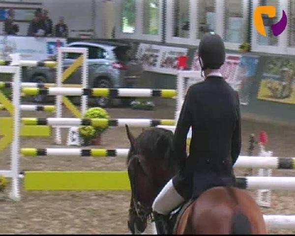 Salzkotten 2012
Samstag, den 13.10.2012
10. Springprüfung Kl. S m. St.** 2. Quali f. Nr. 11
