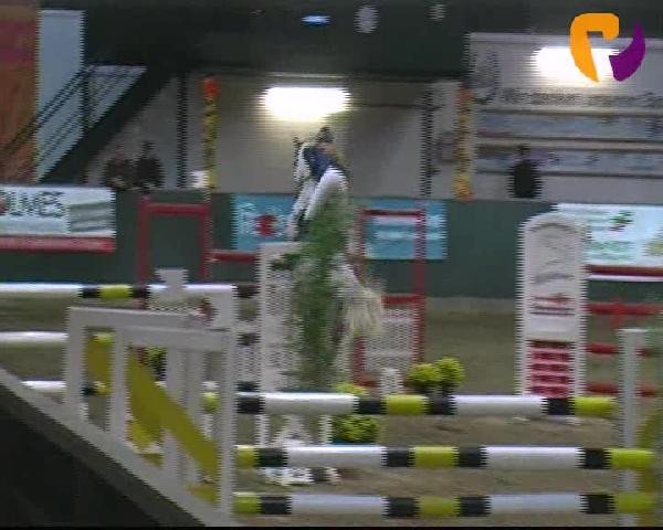 Salzkotten 2012
Freitag, den 12.10.2012
09. Springprüfung Kl. S* 1. Quali f. Nr. 11
