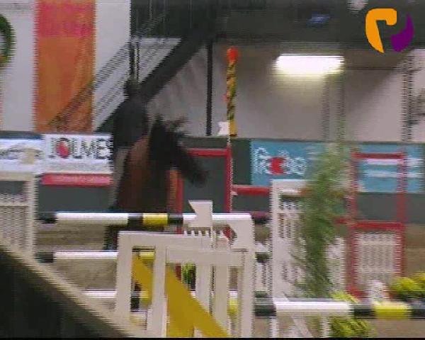 Salzkotten 2012
Freitag, den 12.10.2012
09. Springprüfung Kl. S* 1. Quali f. Nr. 11
