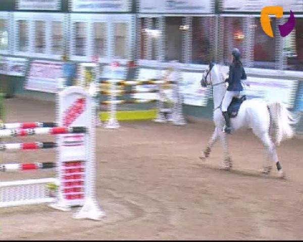Salzkotten 2012
Freitag, den 12.10.2012
06.2. Springprüfung Kl. M** 1. Quali f. Nr. 8
