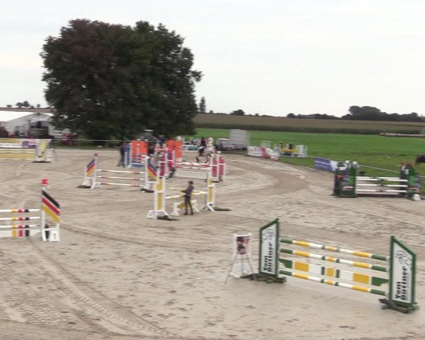 Springreitturnier Hohburg 2021