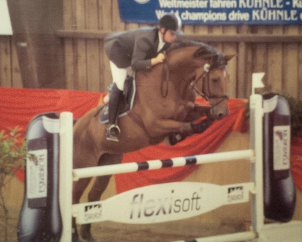 broodmare Calista 20 (Oldenburg, 2001, from Calimbo)
