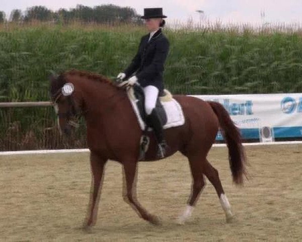 Ostbevern 2012
Samstag, den 25.08.2012
14.2. Dressurprfg. Kl.L* - Kandare -
