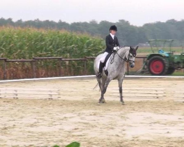 Ostbevern 2012
Samstag, den 25.08.2012
12.3. Dressurprfg. Kl.L* - Tr.
