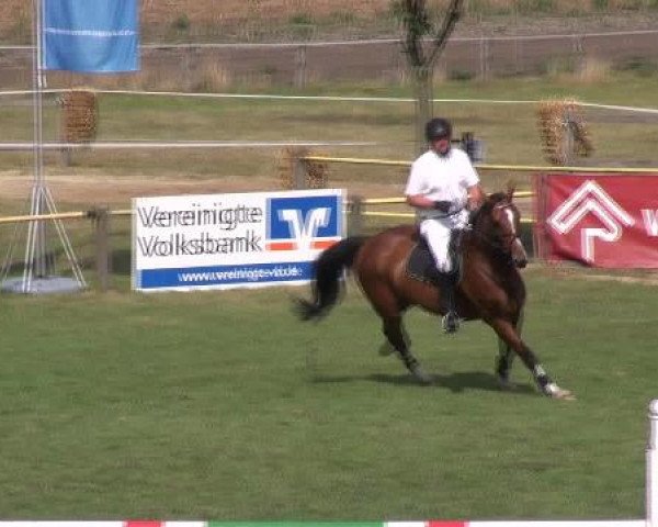 Ostbevern 2012
Freitag, den 24.08.2012
34. Springprüfung Kl.M*

