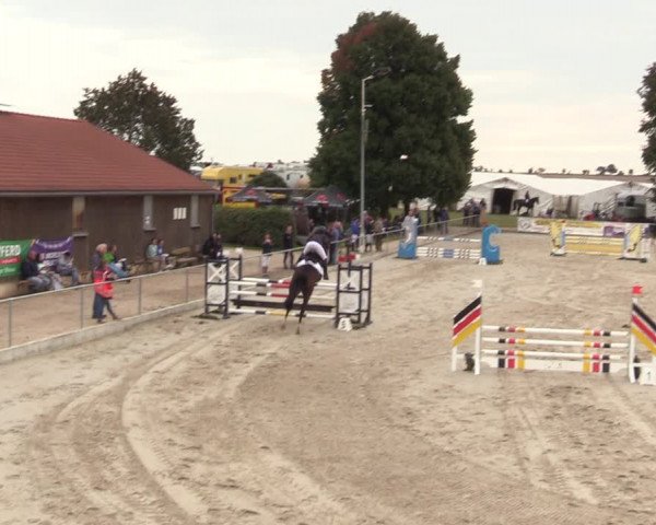 Springreitturnier Hohburg 2021