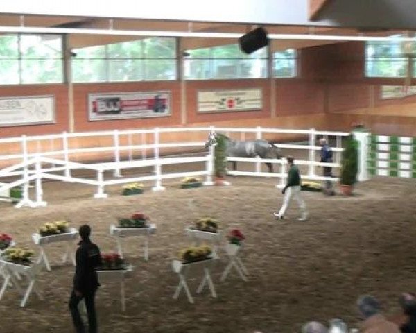 Wickrath 
Donnerstag, den 11.10.2012
Vorauswahl für 2-jährige 
Reitpferdehengste zur NRW-Hauptkörung 2012