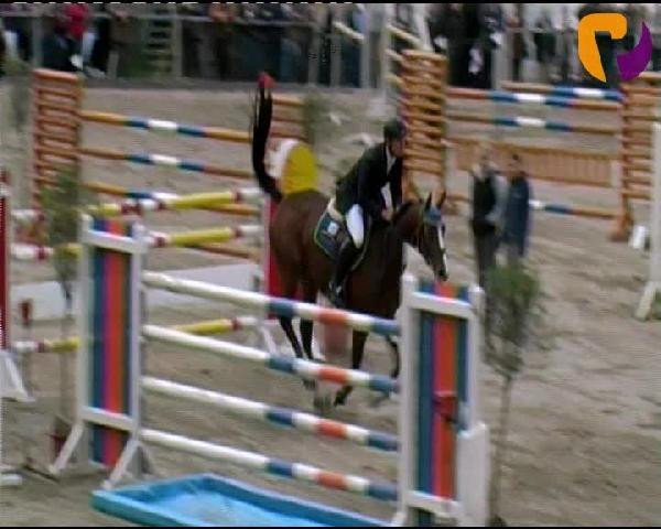 Siegen 2012
Sonntag, den 23.09.2012
20 Springprüfung Kl. S** mit Siegerrunde
