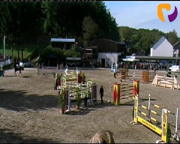 Siegen 2012
Sonntag, den 23.09.2012
18 Springprüfung Kl. S*
