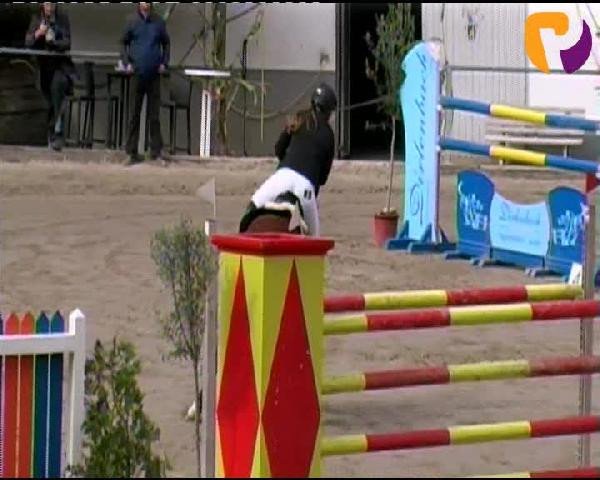 Siegen 2012
Sonntag, den 23.09.2012
14 Amateur Springprüfung Kl. S* mit Stechen
