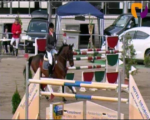 Siegen 2012
Sonntag, den 23.09.2012
14 Amateur Springprüfung Kl. S* mit Stechen